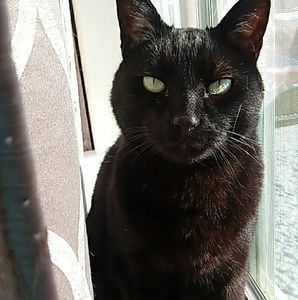 Meet your Posher, Jade